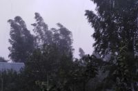 Ураганный ветер повалил вышку сотового оператора в Соль-Илецке. 