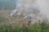 Федеральные субвенции позволят продолжать авиапатрулирование и тушение лесных возгораний в этом пожароопасном сезоне.