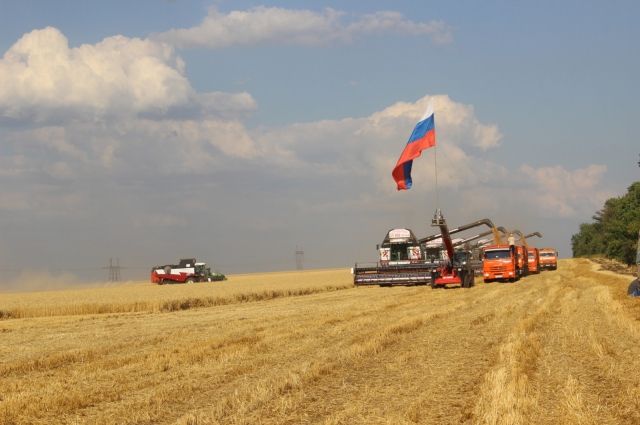 В Ростовской области жатва перешагнула 10-миллионный рубеж