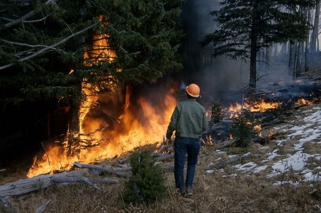 В Пермском крае третьи сутки тушат лесной пожар