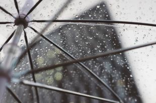 В Тюмени ожидается дождливая неделя