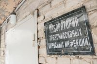 Оренбуржье — второй регион ПФО по численности носителей COVID-19.