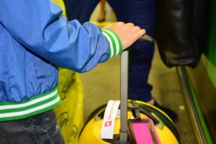В Закарпатской области женщина пыталась незаконно вывезти детей из Украины