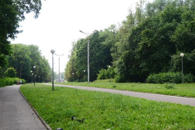 Новые тренажеры появились у Реадовского парка в Смоленске
