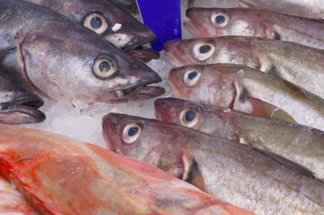 В Калининградской области задержали ловивших рыбу браконьеров