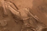 Найденные в Ташлинском районе останки принадлежат человеку, жившему шесть тысяч лет назад.