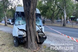 В Николаеве маршрутка влетела в дерево: пострадали 9 пассажиров