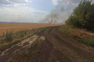 В зоне ООС Нацгвардия поймала мужчину, который поджег поле