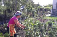 Жители Сорочинска жалуются, что не могут полить огороды.  