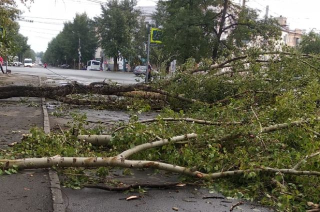 Власти рассказали о последствиях урагана в Челябинске