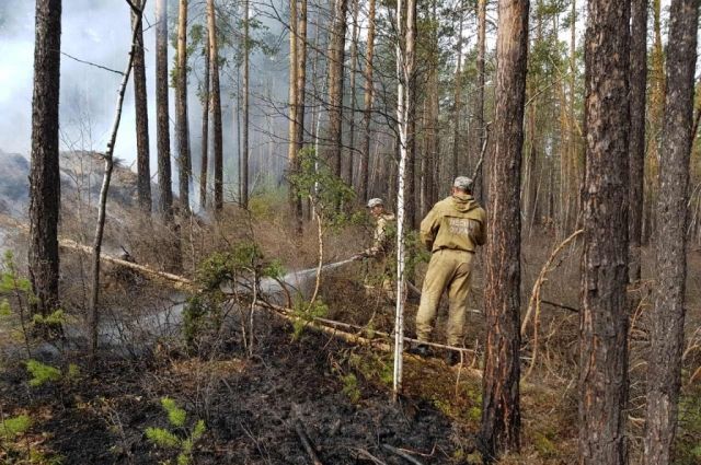 В ХМАО ситуация с лесными пожарами стабилизировалась