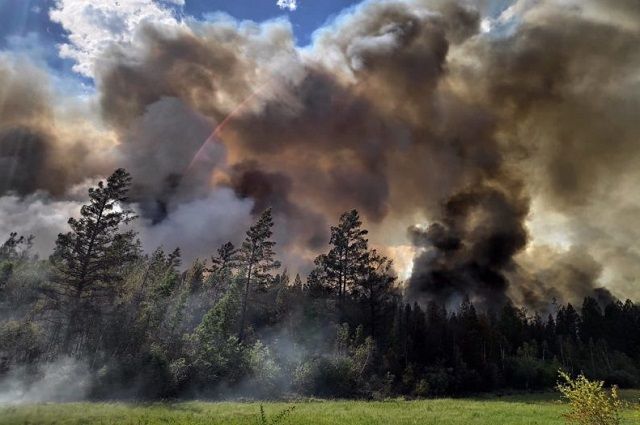 625 пожаров произошли за июль в Новосибирской области