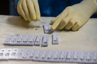 Коронавирус в Украине: озвучено число случаев заражения на 4 августа