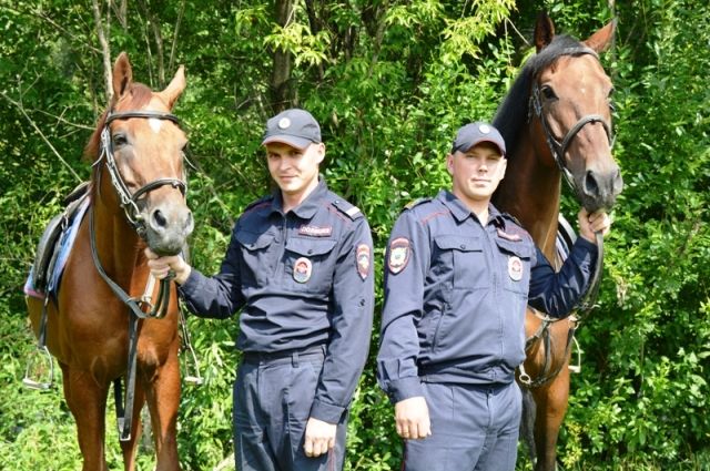 В Перми конные полицейские в парке поймали наркопотребителя из Чернушки