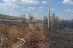 50 человек были задействованы в ликвидации возгорания.