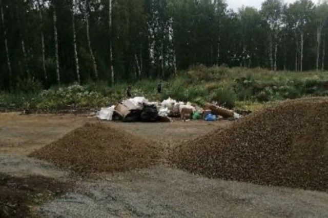 Регоператор прокомментировал конфликт из-за вывоза мусора в Челябинске