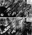 Хиросима до взрыва и после (вид с воздуха).