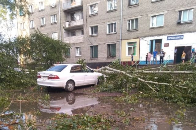 Ураган валил деревья и срывал крыши с домов в Новосибирской области