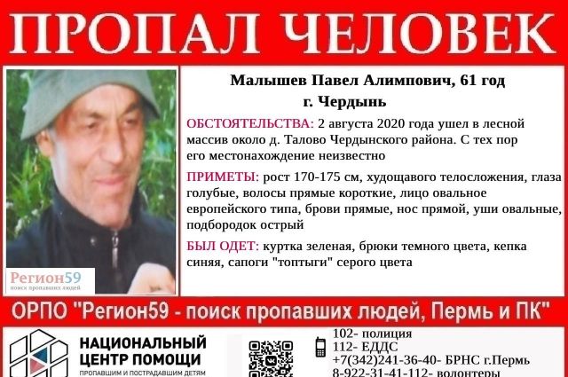 На севере Пермского края в лесу пропал 61-летний мужчина