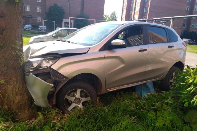 Водитель был пьян: в Глазове автомобиль влетел в дерево