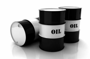 Создан новый биопрепарат для очистки земли и воды от нефтепродуктов