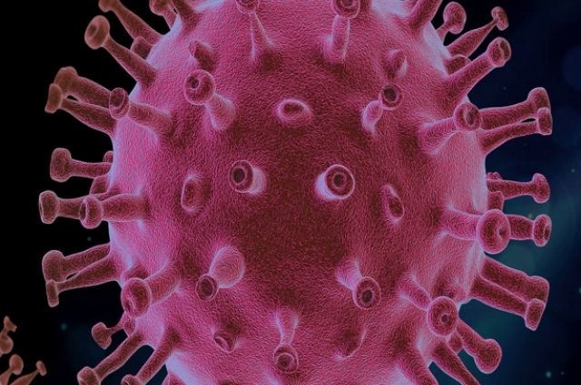 За сутки в Оренбуржье от коронавируса умерли три человека