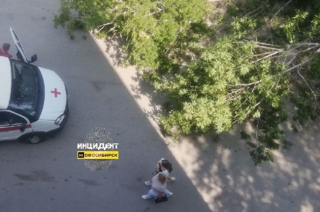Дерево придавило женщину в Новосибирске