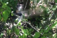 Под Киевом подросток задушил 12-летнюю девочку за отказ от секса