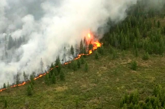 Тушение лесных пожаров в России