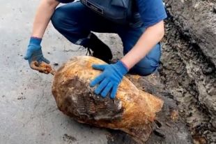В Полтавской области нашли 100-килограммовую авиабомбу
