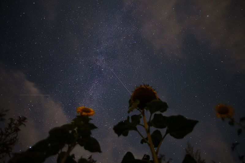Падающие звезды в небе над Антендорфом, Нижняя Саксония, Германия.