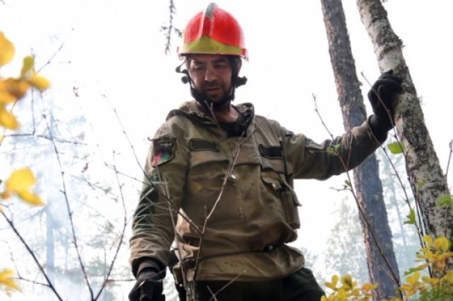 Девять лесных пожаров ликвидировали за сутки в Иркутской области