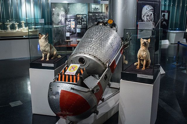 Катапультируемый контейнер Белки и Стрелки в Музее космонавтики.