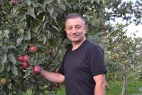 Все свое свободное время Виталий Брыкин посвящает яблокам.
