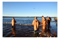 Ямальцы могут подать заявку на традиционное рыболовство до 1 сентября