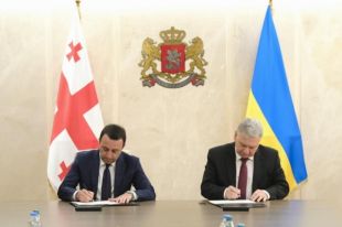 Украина и Грузия обсудили программу сотрудничества между странами