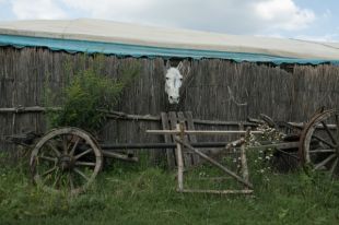 Украинцы победили на Лондонском конкурсе уличной фотографии