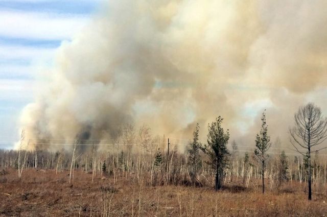 7 населенных пунктов Приангарья попали в зону задымления от лесных пожаров