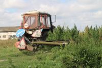В Тюменской области уничтожено более гектара дикорастущей конопли