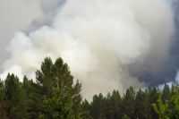 Сейчас в Приангарье действуют 30 природных пожаров.