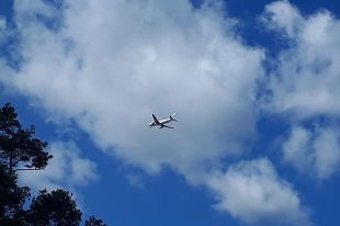 Авиакомпания Utair запустит новые рейсы из Тюмени в южные направления