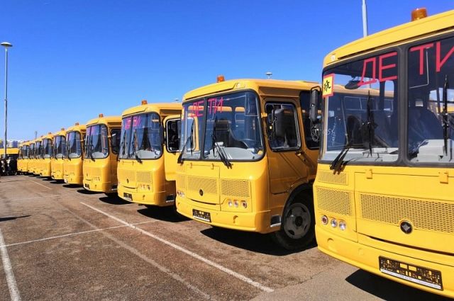 За последние 5 лет в Краснодарском крае обновили 90% школьных автобусов