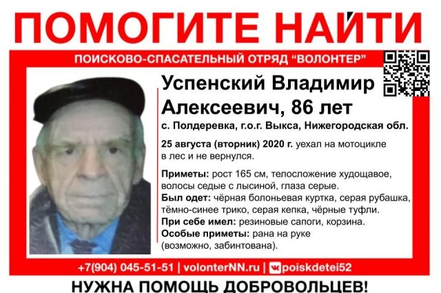 В Нижегородской области 86-летний пенсионер пропал в лесу