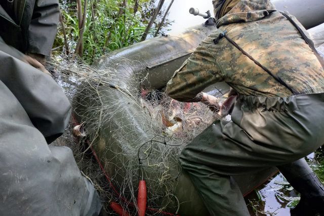 На Камчатке поймали браконьеров с центнером икры