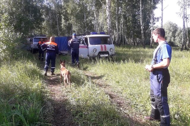 77-летнего грибника четвёртый день ищут в Челябинской области