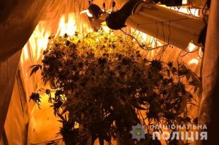 В Днепре мужчина оборудовал в квартире теплицу для выращивания конопли