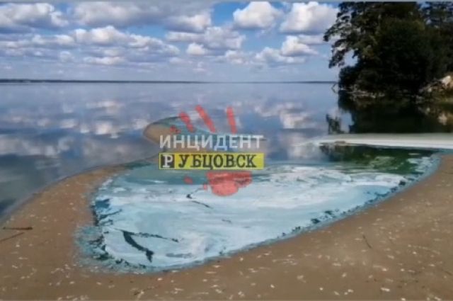 Катастрофа. В лечебном озере на Алтае гниют водоросли и гибнет рыба