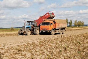 В Нацбанке отрицают проблемы с урожаем в Украине: подробности
