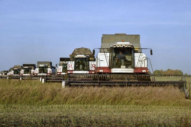 На полях Тюменского района продолжается уборка зерновых