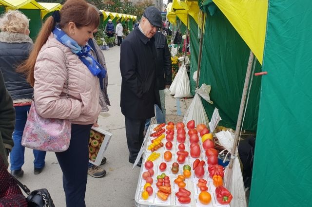 Садоводы показали на ярмарке в Новосибирске арбузы и фиолетовые томаты